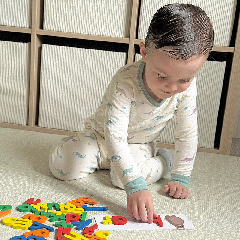 Joc Montessori din Lemn pentru Ortografie